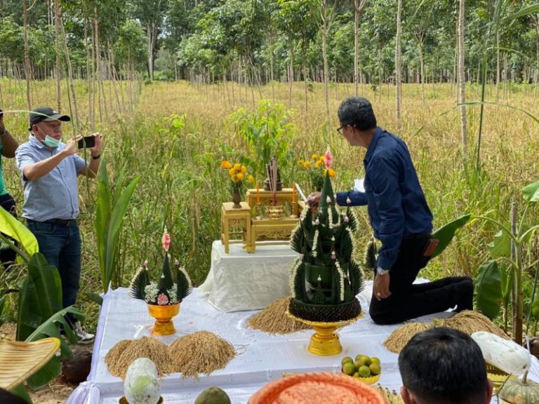 Tum Khwan Kaow The Traditional RiceBeckoning Ceremony of Thai Farmers